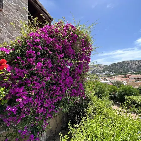 Il Belvedere Baja Sardinia